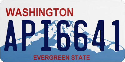 WA license plate API6641