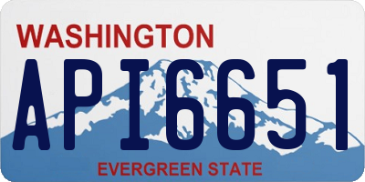 WA license plate API6651