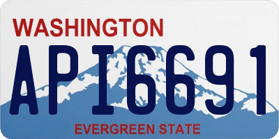 WA license plate API6691