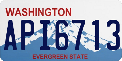 WA license plate API6713