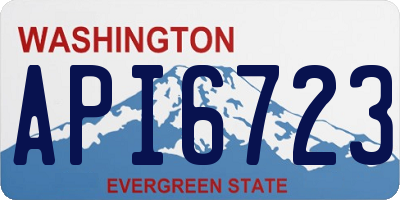 WA license plate API6723