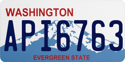 WA license plate API6763