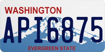 WA license plate API6875