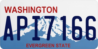 WA license plate API7166