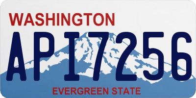 WA license plate API7256