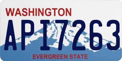 WA license plate API7263