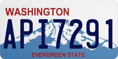 WA license plate API7291