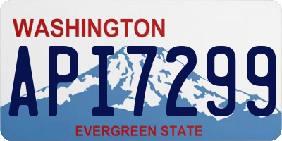 WA license plate API7299