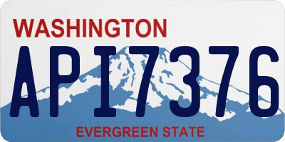 WA license plate API7376