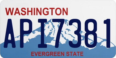 WA license plate API7381