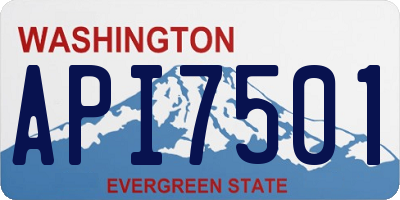 WA license plate API7501