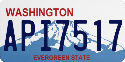 WA license plate API7517