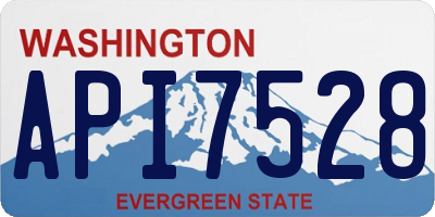 WA license plate API7528