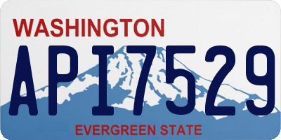WA license plate API7529