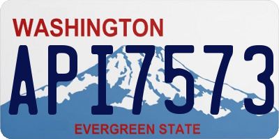 WA license plate API7573