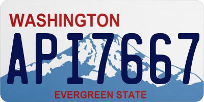 WA license plate API7667