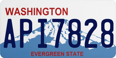 WA license plate API7828