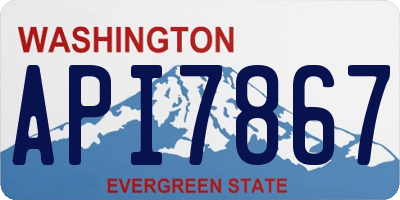 WA license plate API7867