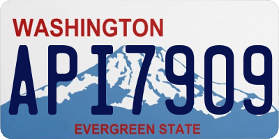 WA license plate API7909