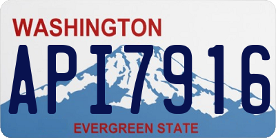 WA license plate API7916