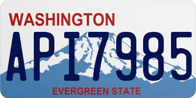 WA license plate API7985