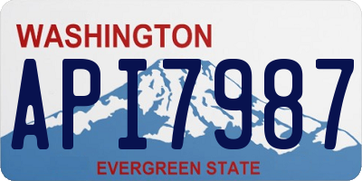 WA license plate API7987