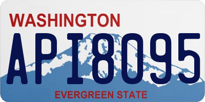 WA license plate API8095