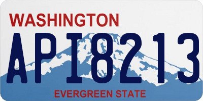 WA license plate API8213
