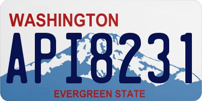WA license plate API8231