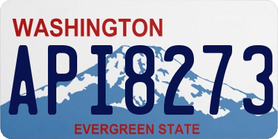 WA license plate API8273
