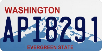 WA license plate API8291