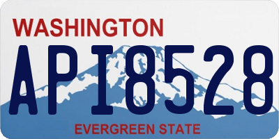 WA license plate API8528