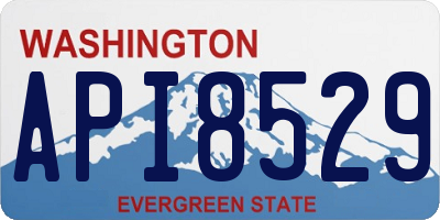 WA license plate API8529