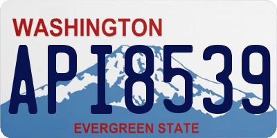 WA license plate API8539
