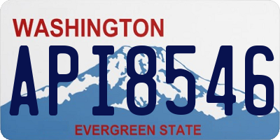 WA license plate API8546