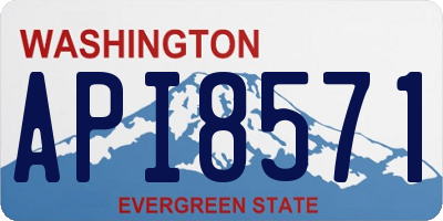 WA license plate API8571