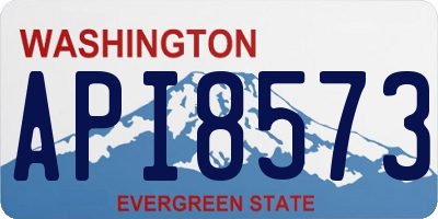 WA license plate API8573