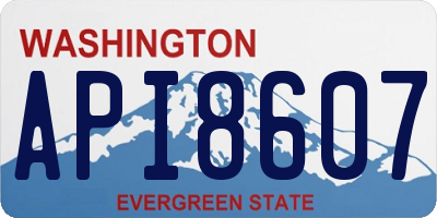 WA license plate API8607