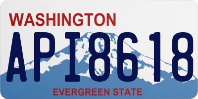 WA license plate API8618