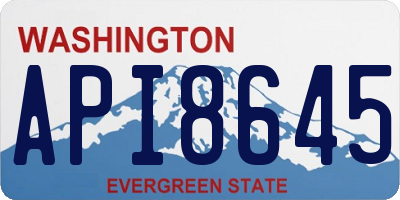 WA license plate API8645