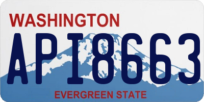 WA license plate API8663