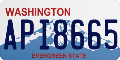 WA license plate API8665