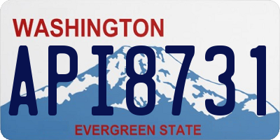 WA license plate API8731