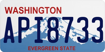 WA license plate API8733
