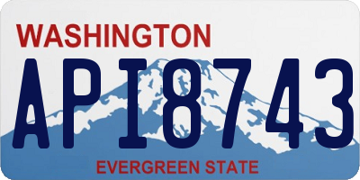 WA license plate API8743