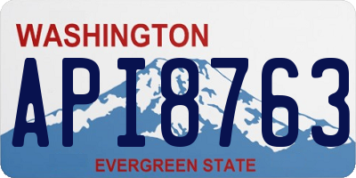 WA license plate API8763