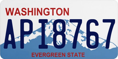 WA license plate API8767