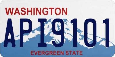 WA license plate API9101