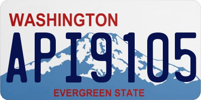 WA license plate API9105