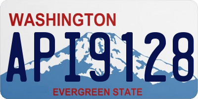 WA license plate API9128